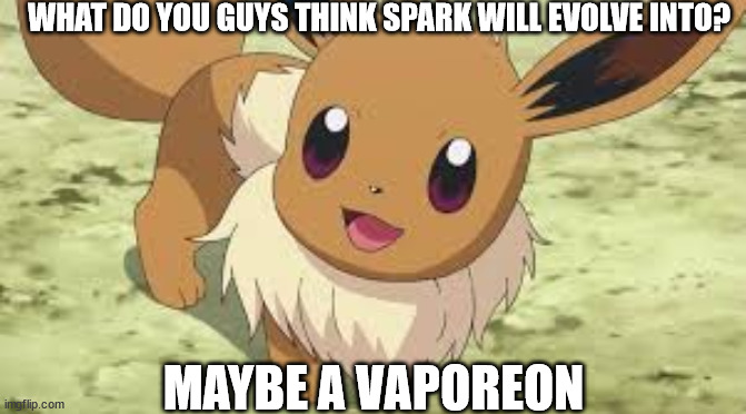 Eevee | WHAT DO YOU GUYS THINK SPARK WILL EVOLVE INTO? MAYBE A VAPOREON | image tagged in eevee | made w/ Imgflip meme maker