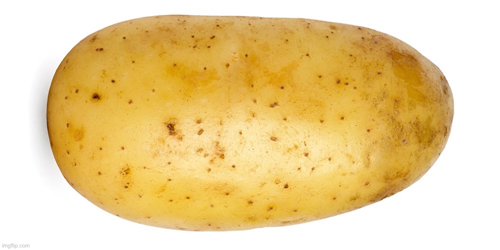 potato | image tagged in potato | made w/ Imgflip meme maker