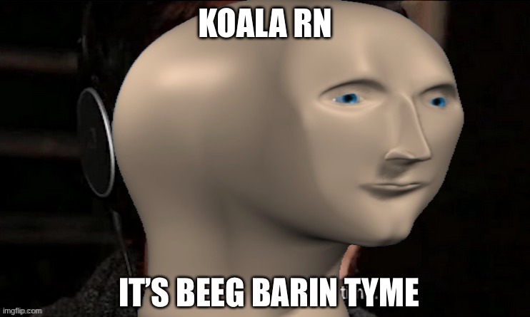 Beeg Barin | KOALA RN | image tagged in beeg barin | made w/ Imgflip meme maker