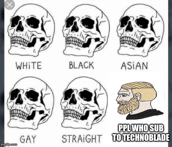 techno is good but dream trash | PPL WHO SUB TO TECHNOBLADE | image tagged in white black asian gay straight skull template | made w/ Imgflip meme maker