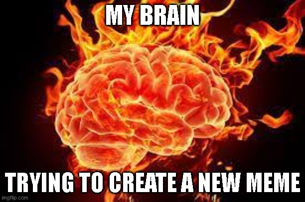 MY BRAIN; TRYING TO CREATE A NEW MEME | image tagged in brain | made w/ Imgflip meme maker