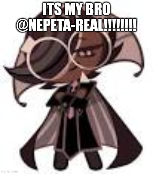 not click bait | ITS MY BRO @NEPETA-REAL!!!!!!!! | image tagged in memes,laughing leo | made w/ Imgflip meme maker