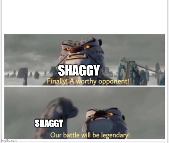 Finally! A worthy opponent! | SHAGGY SHAGGY | image tagged in finally a worthy opponent | made w/ Imgflip meme maker