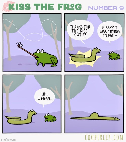 Eating the frog | image tagged in eating,frog,snake,fly,comics,comics/cartoons | made w/ Imgflip meme maker