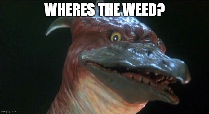 Rodan | WHERES THE WEED? | image tagged in rodan | made w/ Imgflip meme maker