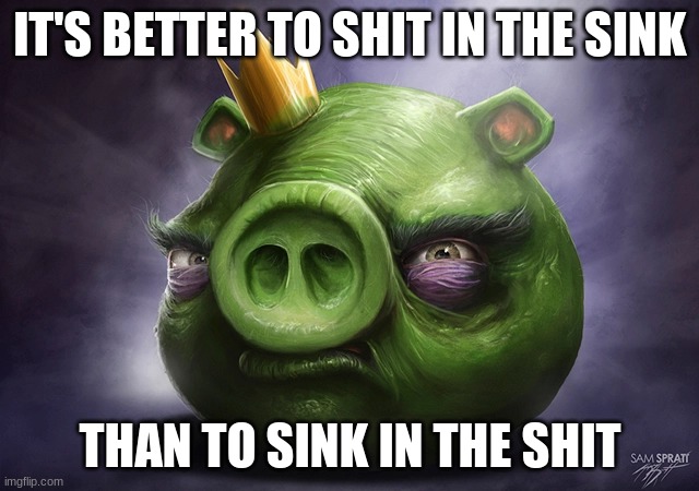 IT'S BETTER TO SHIT IN THE SINK; THAN TO SINK IN THE SHIT | made w/ Imgflip meme maker