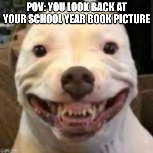 POV: YOU LOOK BACK AT YOUR SCHOOL YEAR BOOK PICTURE | image tagged in school,school sucks,memes,relatable memes,relatable,dogs | made w/ Imgflip meme maker