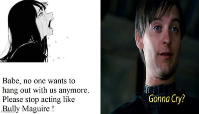 Bully | image tagged in bully maguire | made w/ Imgflip meme maker