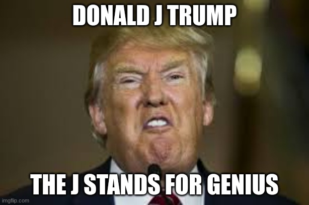 Donald j trump the j stands for genius | DONALD J TRUMP; THE J STANDS FOR GENIUS | image tagged in funny memes,donald trump | made w/ Imgflip meme maker