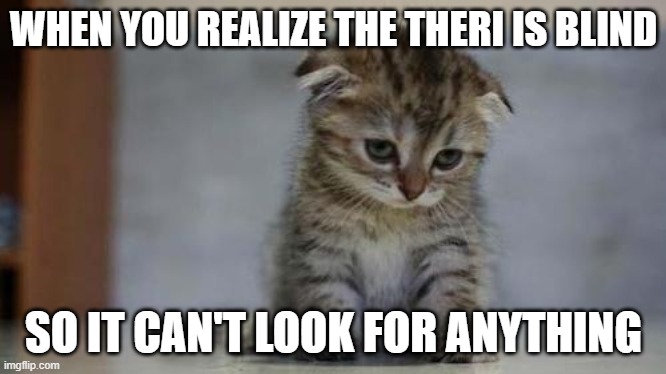 Sad kitten | WHEN YOU REALIZE THE THERI IS BLIND SO IT CAN'T LOOK FOR ANYTHING | image tagged in sad kitten | made w/ Imgflip meme maker