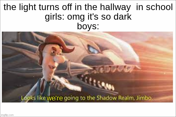 to the shadow realm | the light turns off in the hallway  in school
girls: omg it's so dark
boys:; we're | image tagged in school,meme,shadow realm | made w/ Imgflip meme maker