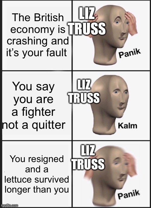 Panik Kalm Panik Meme | LIZ TRUSS; The British economy is crashing and it’s your fault; LIZ TRUSS; You say you are a fighter not a quitter; LIZ TRUSS; You resigned and a lettuce survived longer than you | image tagged in memes,panik kalm panik | made w/ Imgflip meme maker