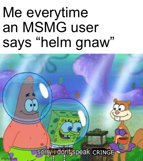 like, that's so cringe.. | Me everytime an MSMG user says “helm gnaw”; CRINGE | image tagged in sorry i don't speak ____ | made w/ Imgflip meme maker