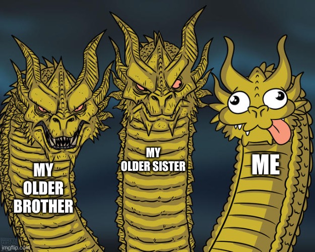 Three-headed Dragon | MY OLDER SISTER; ME; MY OLDER BROTHER | image tagged in three-headed dragon | made w/ Imgflip meme maker