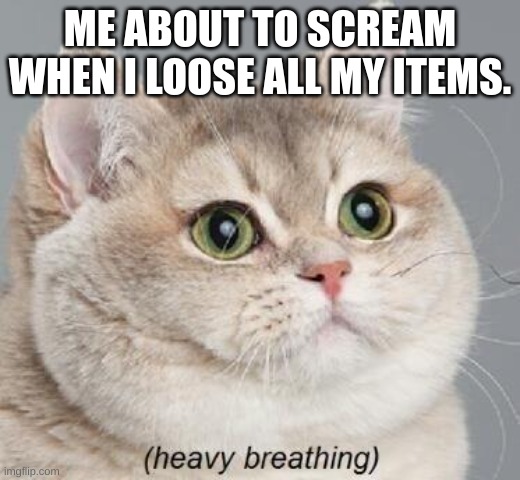 My Worth, Gone in a flash | ME ABOUT TO SCREAM WHEN I LOOSE ALL MY ITEMS. | image tagged in memes,heavy breathing cat,games,video games | made w/ Imgflip meme maker