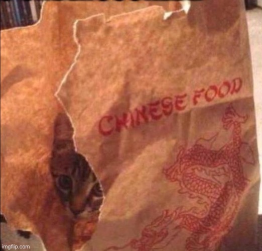 Chinese food | image tagged in chinese food | made w/ Imgflip meme maker