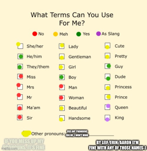 Ah yes this- | USE ANY PRONOUNS FOR ME, I WON’T MIND; BY LEIF/ERIN/AARON (I’M FINE WITH ANY OF THOSE NAMES-); IF YOU MESS UP MY PRONOUNS, IT’S FINE | image tagged in pronouns sheet | made w/ Imgflip meme maker