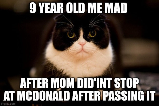Upset cat | 9 YEAR OLD ME MAD; AFTER MOM DID'INT STOP AT MCDONALD AFTER PASSING IT | image tagged in upset cat,mcdonalds,childhood,cats,mad,relatable | made w/ Imgflip meme maker