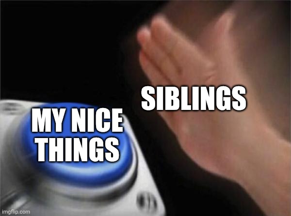 Blank Nut Button | SIBLINGS; MY NICE THINGS | image tagged in memes,blank nut button | made w/ Imgflip meme maker