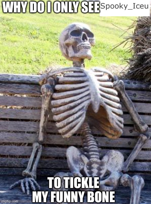 The entire fun page be like: | WHY DO I ONLY SEE; TO TICKLE MY FUNNY BONE | image tagged in memes,waiting skeleton,iceu,funny | made w/ Imgflip meme maker