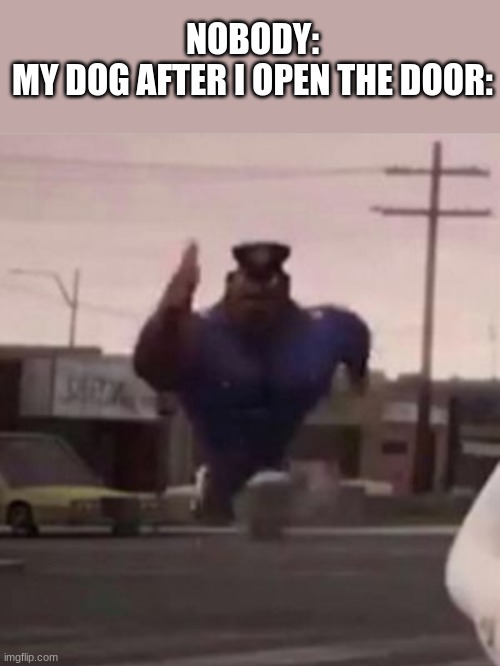 true ngl | NOBODY:
MY DOG AFTER I OPEN THE DOOR: | image tagged in everybody gangsta until,dogs,funny memes | made w/ Imgflip meme maker