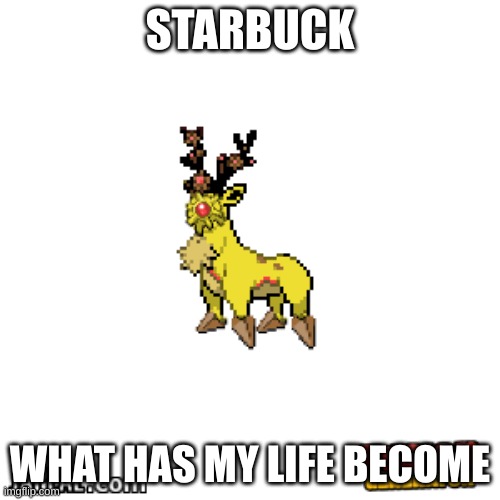 Starbuck | STARBUCK; WHAT HAS MY LIFE BECOME | image tagged in pokemon,pokemon fusion,memes,stop reading the tags | made w/ Imgflip meme maker