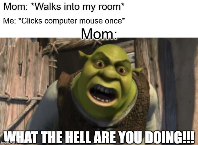 Why they like this? | Mom: *Walks into my room*; Me: *Clicks computer mouse once*; Mom:; WHAT THE HELL ARE YOU DOING!!! | image tagged in shrek what are you doing in my swamp,moms,parents,funny,shrek | made w/ Imgflip meme maker