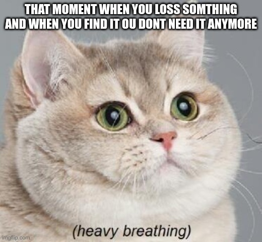 Heavy Breathing Cat | THAT MOMENT WHEN YOU LOSS SOMTHING AND WHEN YOU FIND IT OU DONT NEED IT ANYMORE | image tagged in memes,heavy breathing cat,relatable,relatable memes,funny memes | made w/ Imgflip meme maker