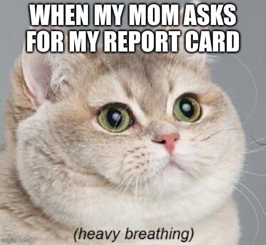 Heavy Breathing Cat | WHEN MY MOM ASKS FOR MY REPORT CARD | image tagged in memes,heavy breathing cat | made w/ Imgflip meme maker