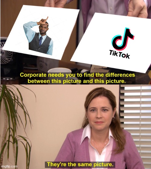 tik tok is for loosers | image tagged in memes,they're the same picture | made w/ Imgflip meme maker