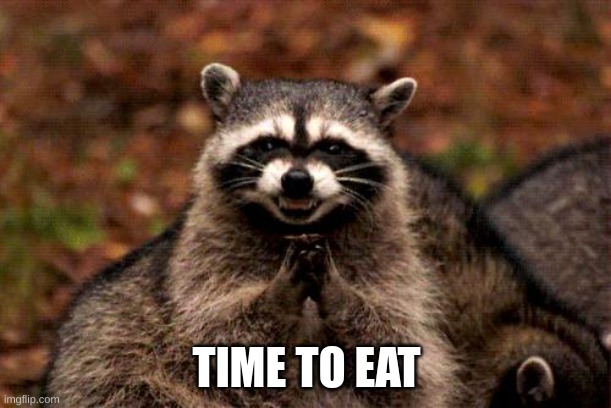 Evil Plotting Raccoon Meme | TIME TO EAT | image tagged in memes,evil plotting raccoon | made w/ Imgflip meme maker