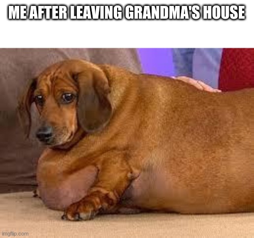 fat dog | ME AFTER LEAVING GRANDMA'S HOUSE | image tagged in fat dog | made w/ Imgflip meme maker