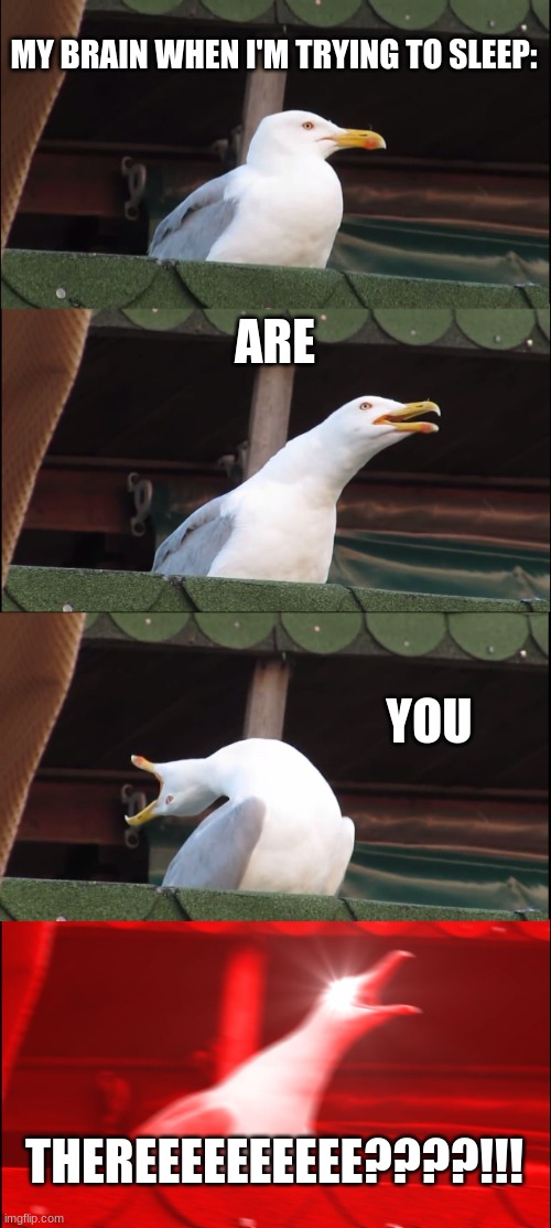 Inhaling Seagull | MY BRAIN WHEN I'M TRYING TO SLEEP:; ARE; YOU; THEREEEEEEEEEE????!!! | image tagged in memes,inhaling seagull | made w/ Imgflip meme maker