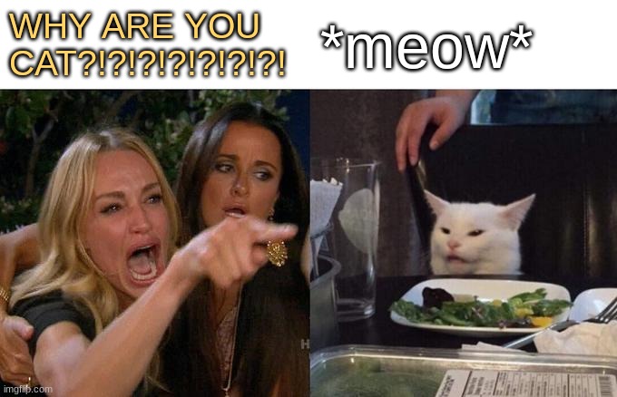 cat | WHY ARE YOU CAT?!?!?!?!?!?!?! *meow* | image tagged in memes,woman yelling at cat | made w/ Imgflip meme maker