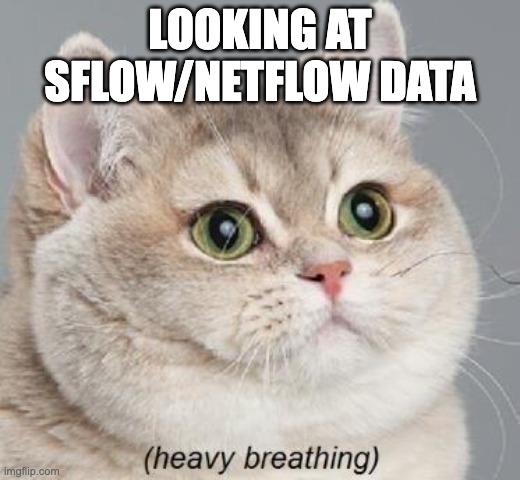 netflow | LOOKING AT SFLOW/NETFLOW DATA | image tagged in memes,heavy breathing cat | made w/ Imgflip meme maker