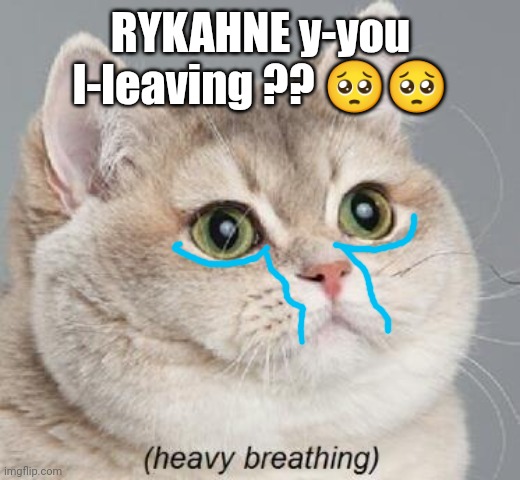 To: RYKAHNE | RYKAHNE y-you l-leaving ?? 🥺🥺 | image tagged in memes,heavy breathing cat | made w/ Imgflip meme maker