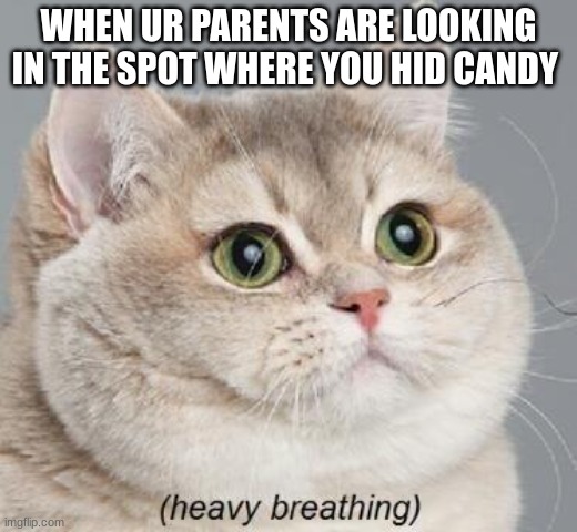 Heavy Breathing Cat Meme | WHEN UR PARENTS ARE LOOKING IN THE SPOT WHERE YOU HID CANDY | image tagged in memes,heavy breathing cat | made w/ Imgflip meme maker