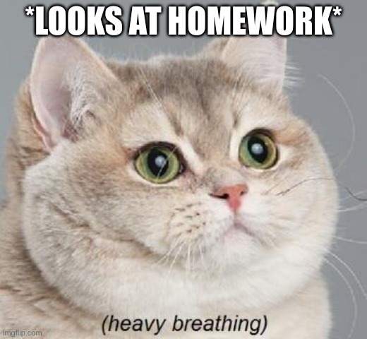 Heavy Breathing Cat Meme | *LOOKS AT HOMEWORK* | image tagged in memes,heavy breathing cat | made w/ Imgflip meme maker