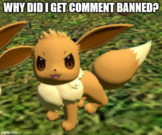 evil eevee | WHY DID I GET COMMENT BANNED? | image tagged in evil eevee | made w/ Imgflip meme maker