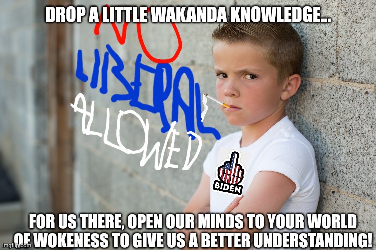 DROP A LITTLE WAKANDA KNOWLEDGE... FOR US THERE, OPEN OUR MINDS TO YOUR WORLD OF WOKENESS TO GIVE US A BETTER UNDERSTANDING! | made w/ Imgflip meme maker