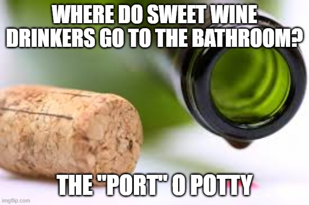 empty wine bottle | WHERE DO SWEET WINE DRINKERS GO TO THE BATHROOM? THE "PORT" O POTTY | image tagged in empty wine bottle | made w/ Imgflip meme maker