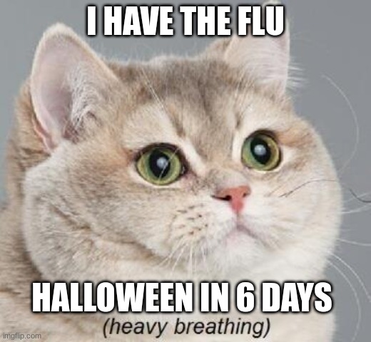 Heavy Breathing Cat Meme | I HAVE THE FLU; HALLOWEEN IN 6 DAYS | image tagged in memes,heavy breathing cat,iceu | made w/ Imgflip meme maker