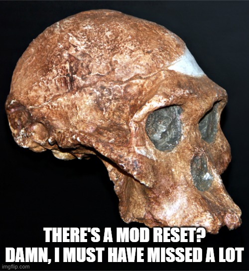skull | THERE'S A MOD RESET? DAMN, I MUST HAVE MISSED A LOT | image tagged in skull | made w/ Imgflip meme maker