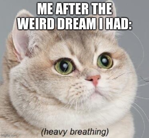 I had like, 3 days to live | ME AFTER THE WEIRD DREAM I HAD: | image tagged in memes,heavy breathing cat | made w/ Imgflip meme maker