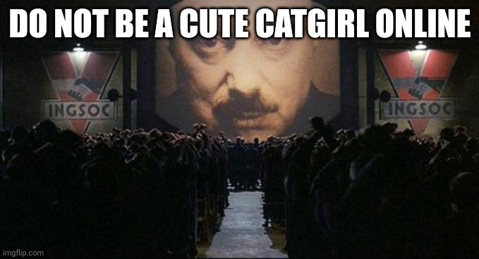 Big Brother 1984 | DO NOT BE A CUTE CATGIRL ONLINE | image tagged in big brother 1984 | made w/ Imgflip meme maker