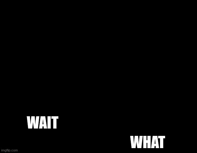 WAIT WHAT? | WAIT WHAT | image tagged in wait what | made w/ Imgflip meme maker