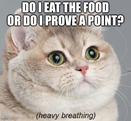 Heavy Breathing Cat | DO I EAT THE FOOD OR DO I PROVE A POINT? | image tagged in memes,heavy breathing cat | made w/ Imgflip meme maker