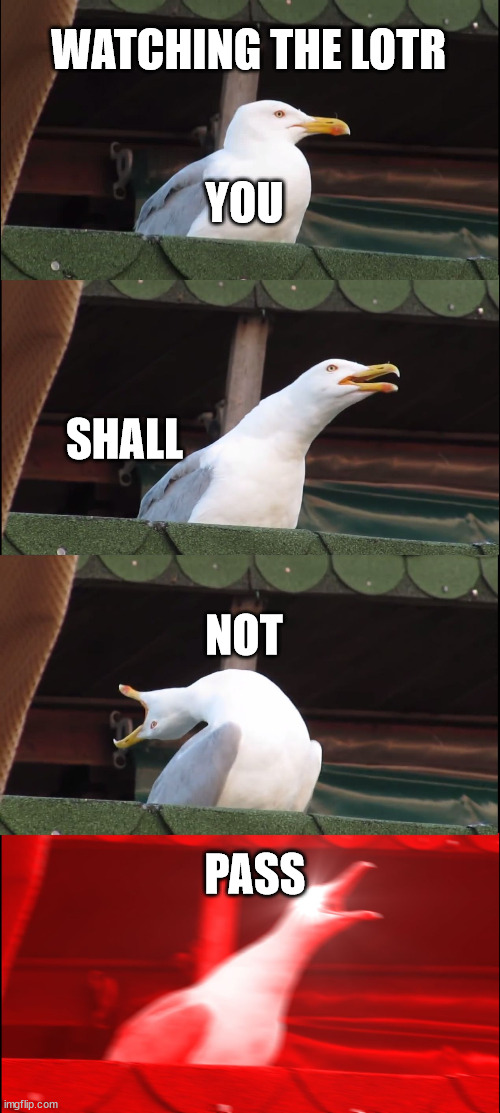 Inhaling Seagull Meme | WATCHING THE LOTR; YOU; SHALL; NOT; PASS | image tagged in memes,inhaling seagull | made w/ Imgflip meme maker