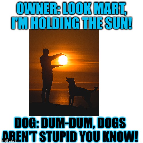 Blank Transparent Square | OWNER: LOOK MART, I'M HOLDING THE SUN! DOG: DUM-DUM, DOGS AREN'T STUPID YOU KNOW! | image tagged in memes,blank transparent square | made w/ Imgflip meme maker