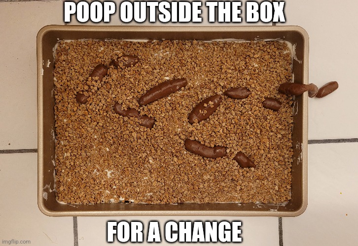 Poop for a change | POOP OUTSIDE THE BOX; FOR A CHANGE | image tagged in cake,litter box,food,funny | made w/ Imgflip meme maker